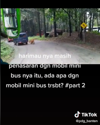 Video Viral