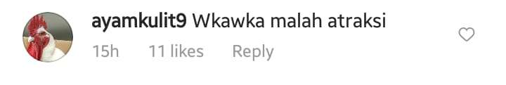 Salah Satu Komentar Warganet