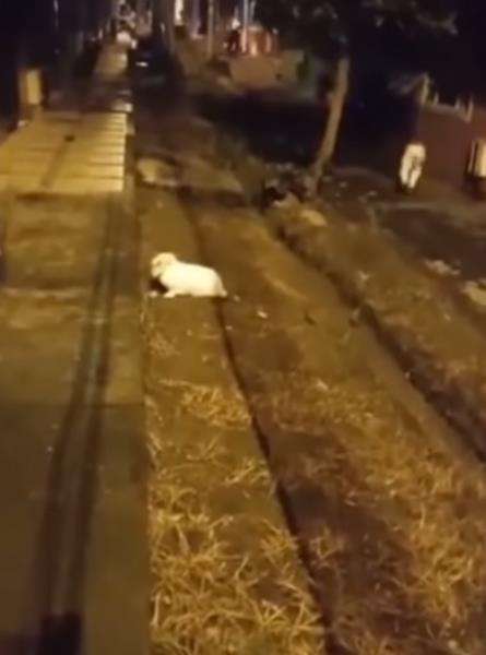 Seram, penampakan hantu sepasang kaki tanpa tubuh berlari malam-malam.