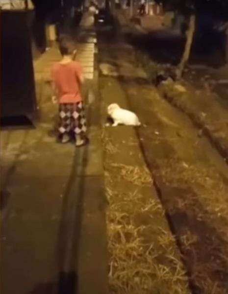 Seram, penampakan hantu sepasang kaki tanpa tubuh berlari malam-malam.