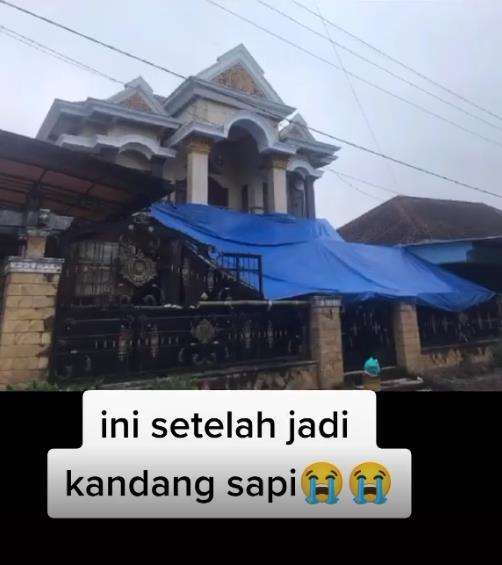 Heboh rumah mewah berubah jadi kandang sapi.
