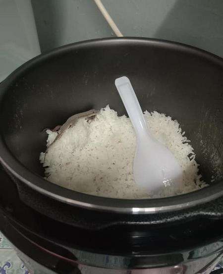 Cecak masuk dalam magic jar.