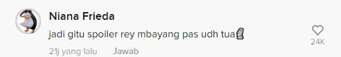 Salah Satu Komentar Warganet
