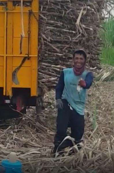 Momen apes celana petani tebu kemasukan tikus sawah.