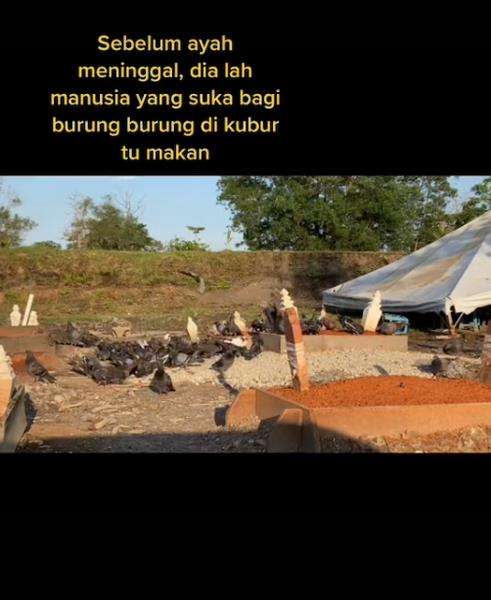Kisah menyentuh manusia pencinta binatang.