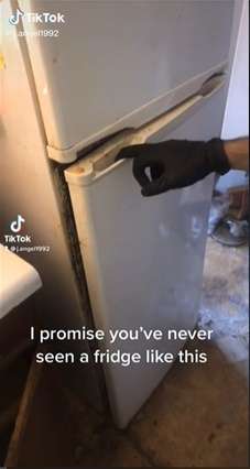 Kaget saat Membuka Kulkas