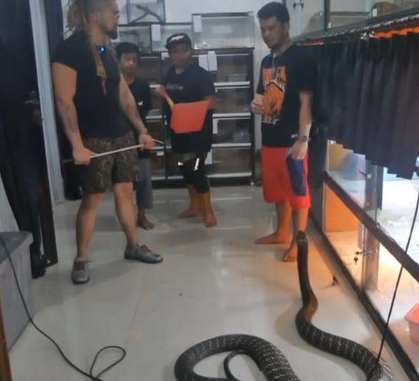 Garaga seolah mengerti 'bapaknya' lagi marah.