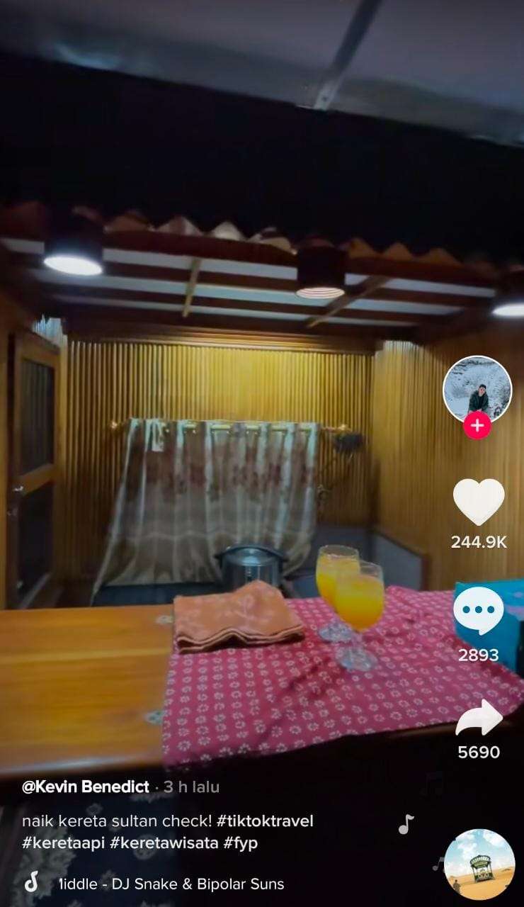 Penampakan Kawis Nusantara (3)