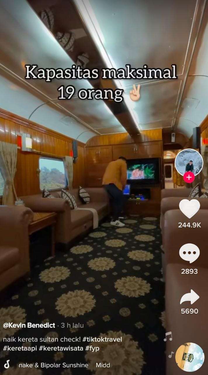Penampakan Kawis Nusantara (4)