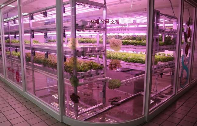 Metro Farm
