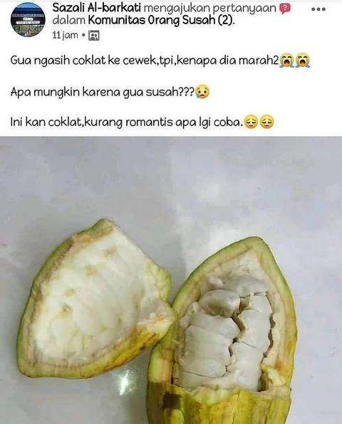 Dikasih cokelat kok nolak?