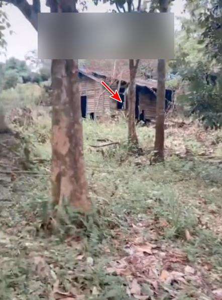 Dibiarkan kosong 2 tahun, rumah warisan berubah seram.