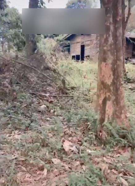 Dibiarkan kosong 2 tahun, rumah warisan berubah seram.