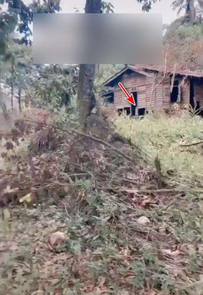 Dibiarkan kosong 2 tahun, rumah warisan berubah seram.
