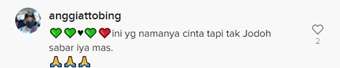 Salah Satu Komentar Warganet