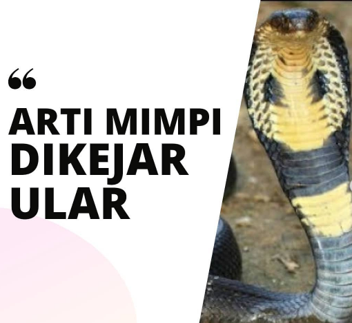 Arti Mimpi Dikejar Ular