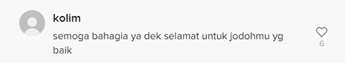 Salah Satu Komentar Warganet
