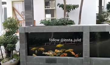 Pagar Rumah dari Kolam Ikan Koi