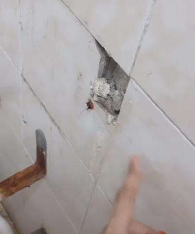 Syok dan takut, toilet duduk pecah saat mau BAB.
