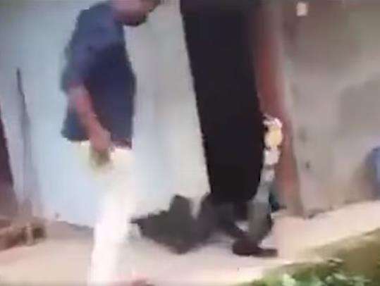 Ashoke kaget ular yang hendak ditangkap ternyata king kobra.
