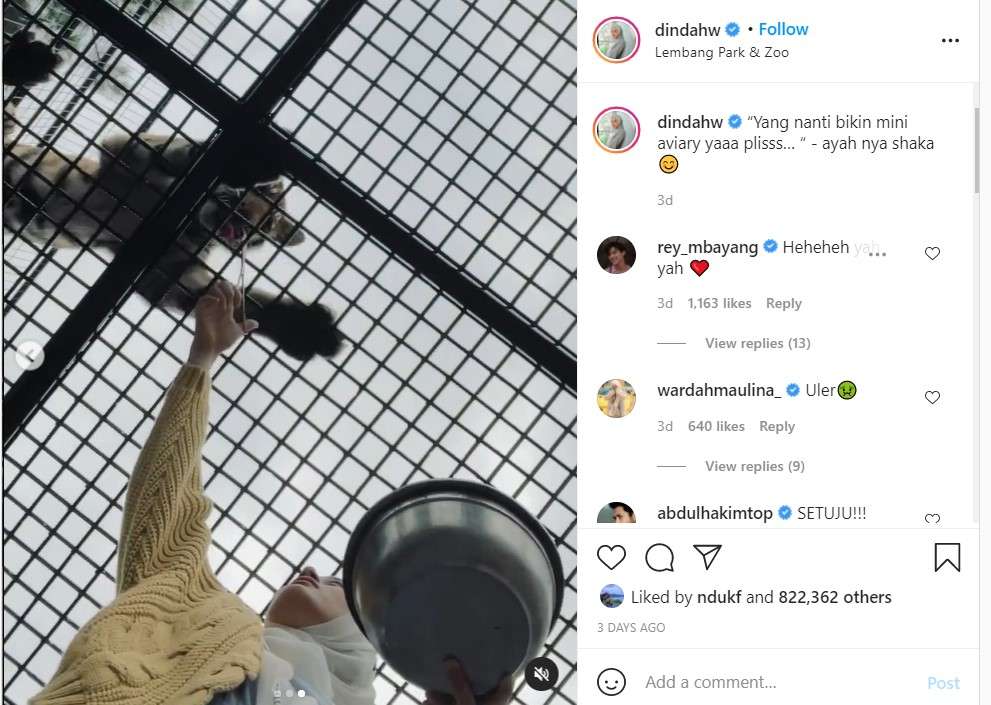 Dinda memberi makan harimau