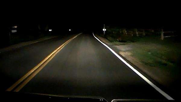 Lewat jalan sunyi dan gelap tengah malam, merinding ada bayangan hitam menyeberang