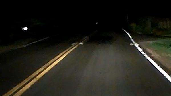 Lewat jalan sunyi dan gelap tengah malam, merinding ada bayangan hitam menyeberang