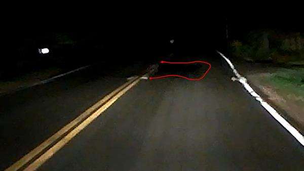 Lewat jalan sunyi dan gelap tengah malam, merinding ada bayangan hitam menyeberang