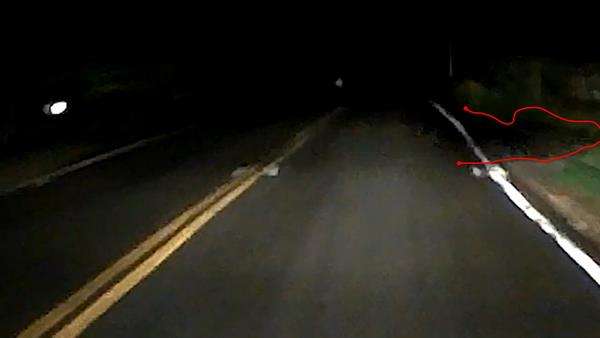 Lewat jalan sunyi dan gelap tengah malam, merinding ada bayangan hitam menyeberang