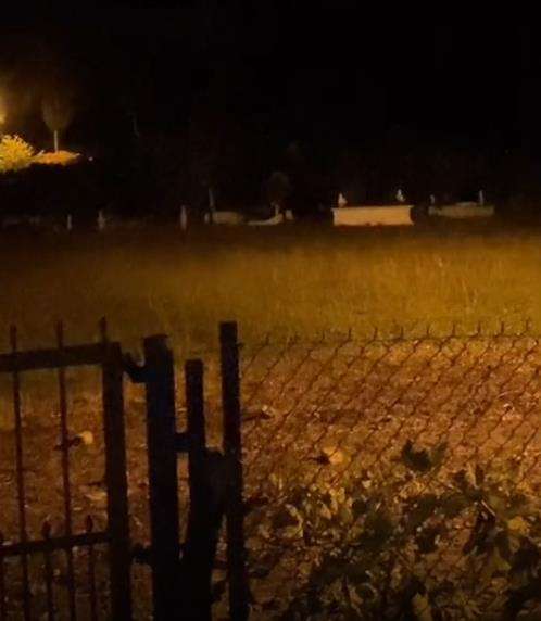 Area kuburan di samping rumah orangtua Nur Farhana.