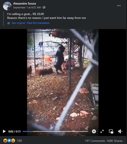 Dia ingin menjual kambing hitam yang aneh tersebut.