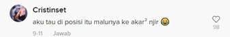 Salah Satu Komentar Warganet