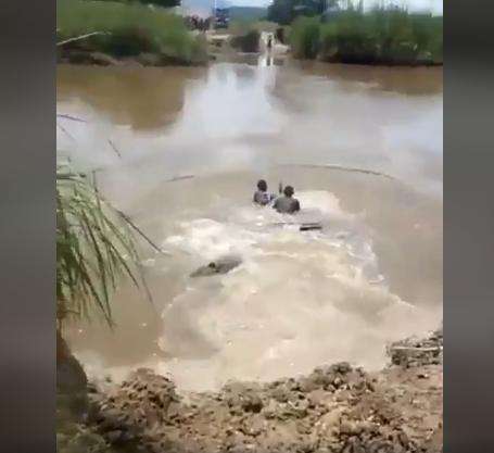 Viral traktor amphibi, bisa diajak menyelam dan mesinnya tidak mati.