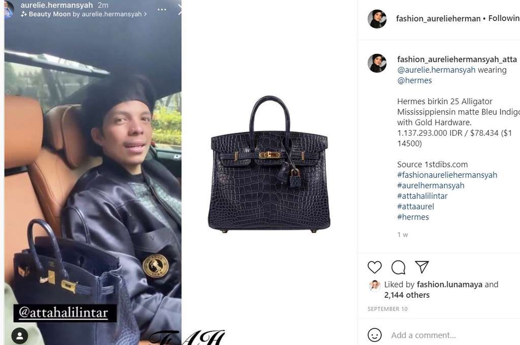 Hermes Birkin Aurel