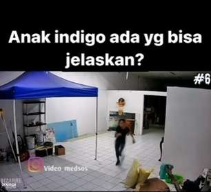 Lari Ketakutan