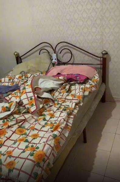 Sedang tidur nyenyak, didatangi ular piton sebesar lengan anak-anak jam 3 pagi.