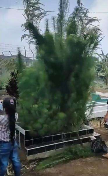 Pemuda syok lihat kondisi makam ibunda.