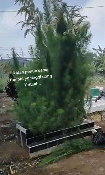Pemuda syok lihat kondisi makam ibunda.