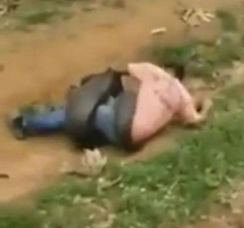 Kejadian menegangkan dibelit ular anaconda raksasa.