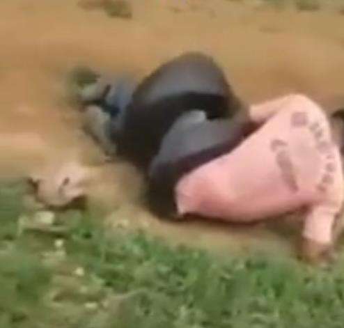 Kejadian menegangkan dibelit ular anaconda raksasa.