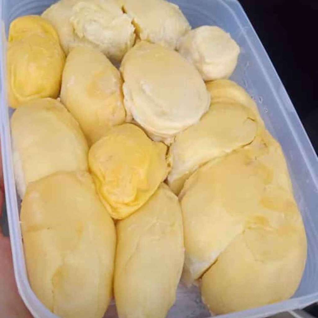 Manis dan Sedap/Rumah Belanja Kalpataru Manis dan Sedap/Rumah Belanja Kalpataru