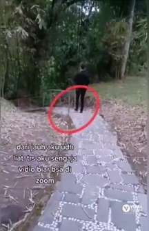 Melihat Sesuatu yang Aneh