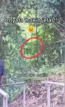 Terbang Mendekati Si Pria