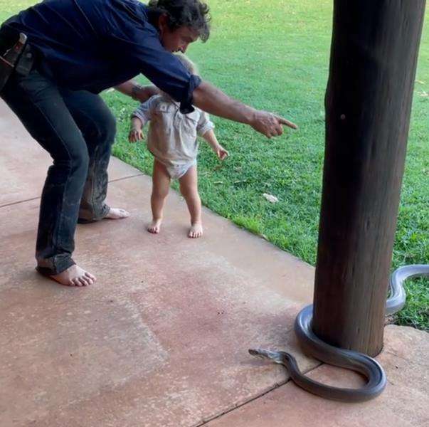 Viral, bocah dua tahun diajari bapaknya jinakkan ular sebesar pahanya sendiri.