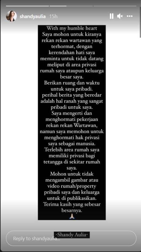Shandy Aulia
