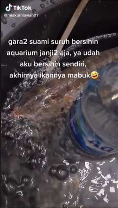Istri Bersihkan Akuarium Sampai Ikannya Mabuk