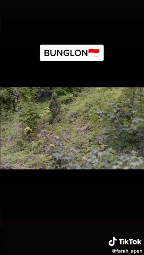 penyamaran