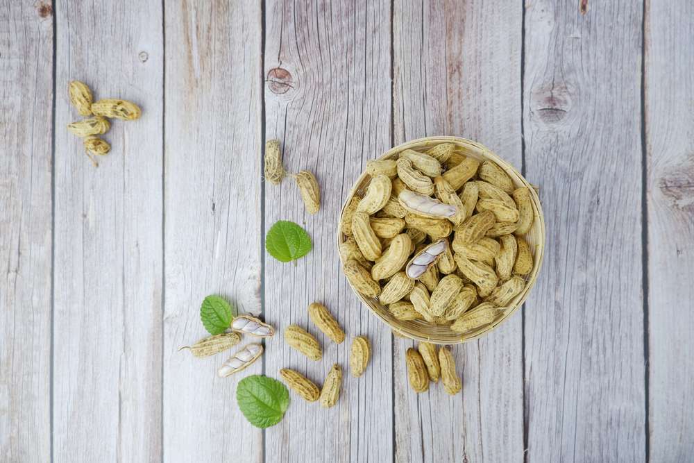 Kacang Tanah