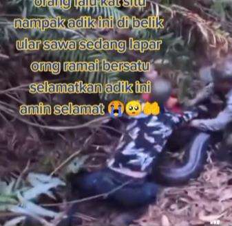 Pendaki hampir mati lemas dibelit ular hitam raksasa.