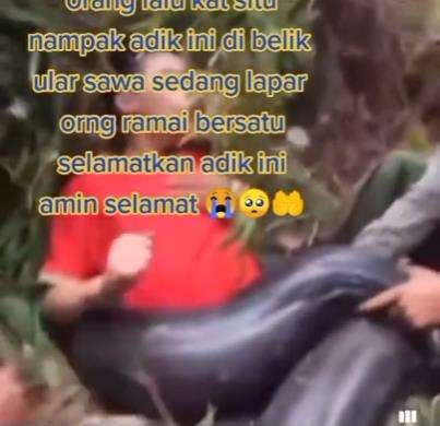 Pendaki hampir mati lemas dibelit ular hitam raksasa.